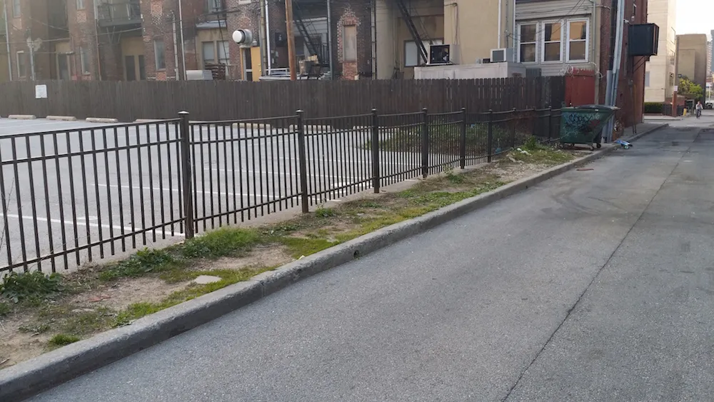 That's probably not a rat right there... (James Howard / University of Baltimore)