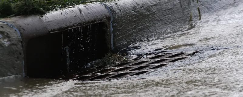 Circling the Drain